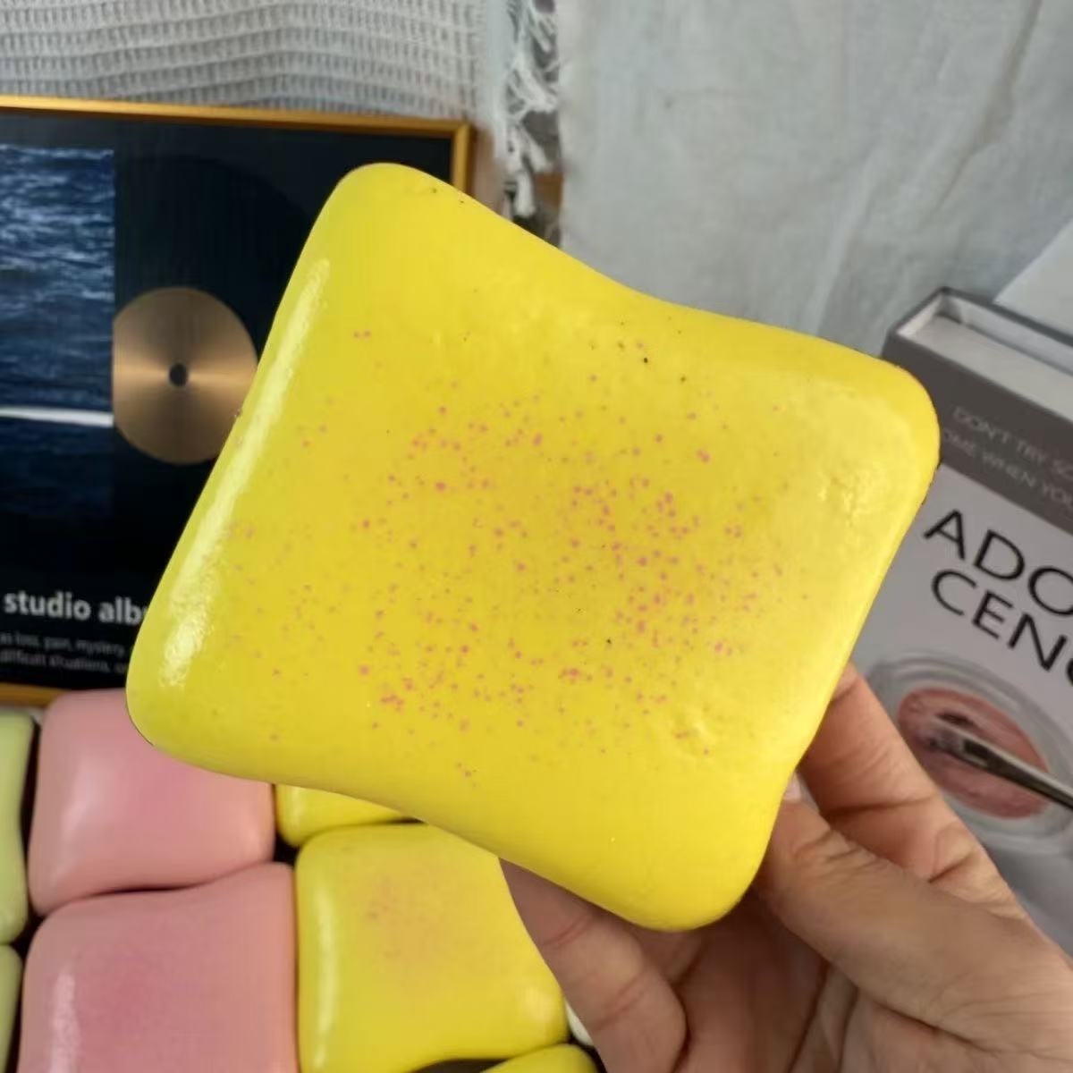 Squishy  Squeeze Toast Toy