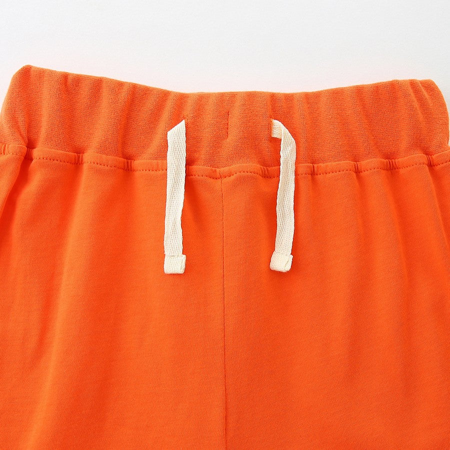 Boys Spring&Summer Print Cotton Shorts Set